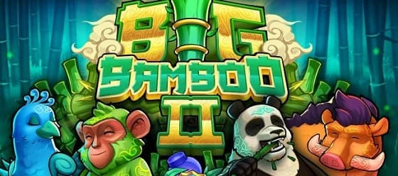 big bamboo 2